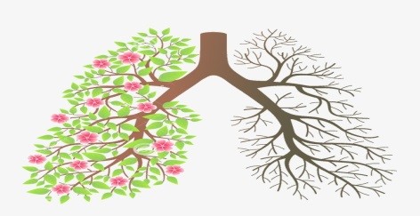 31-го мая - Всемирный день без табака.