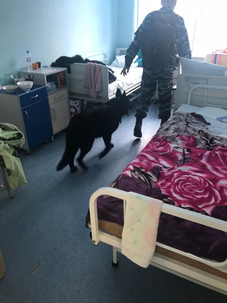 IMG-20190131-WA0009.jpg IMG-20190131-WA0009.jpg