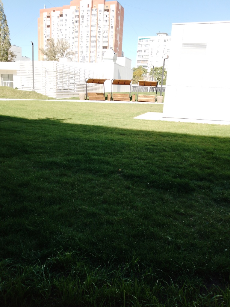 IMG_20230928_115521_347 (003).jpg