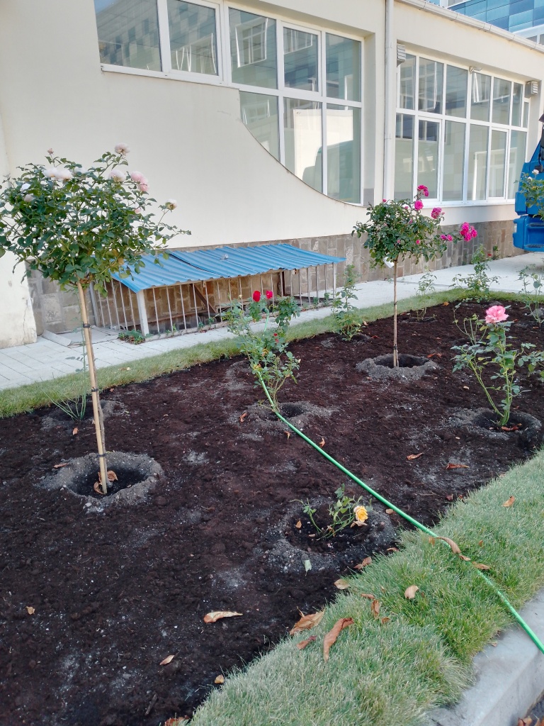 IMG_20230928_120505_460 (002).jpg