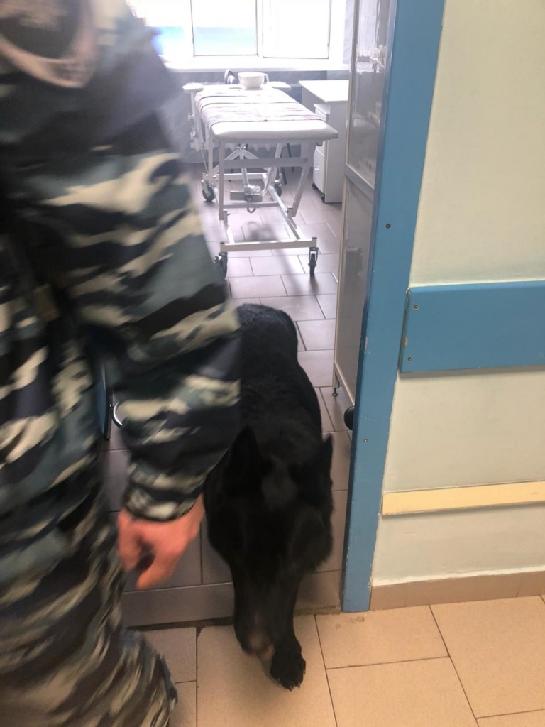 IMG-20190131-WA0008.jpg IMG-20190131-WA0008.jpg