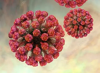 Чем опасна КРАСНУХА?