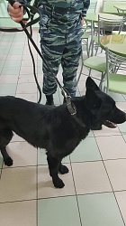 НЕТ Терроризму !