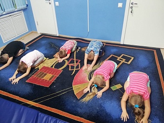 Т.ЕФРЕМОВА провела вебинар для реабилитологов области 