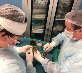 Комбустиологи не только спасают после тяжелых ожогов, но и помогают искусственно вырастить здоровую кожу для последующих трансплантаций на их место